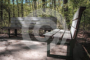 Wooden Bench on the side of a trail in the park.