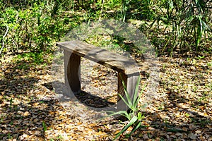 A wooden bench sitting in the woods