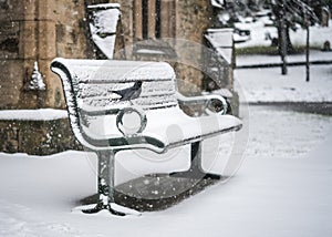 Wooden Bench in snowfall scene cemetery and church yard with grave stones and wild black bird standing in snow settled on ground