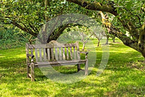 Wooden Bench, Snowshill Manor, Gloucestershire, England.