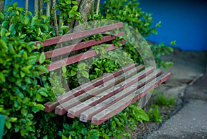 A wooden bench stands near the house. green bushes grow around