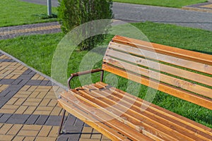 Wooden bench in summer park