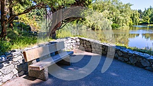 wooden bench in a summer park by a pond with floating ducks, green trees and a blue sky