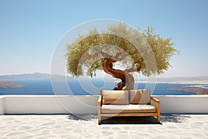Wooden Bench on Summer White Stone Terrace Amidst Olive Tree Captivating Sea View Background, Embodying the Essence of Summer