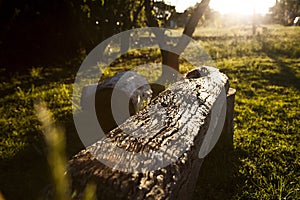 Wooden bench in the sun