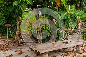 Wooden bench and swing on the street at the village at Landhoo island at Noonu atoll