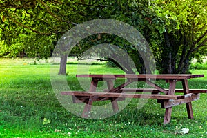 Wooden bench and table on a meadow in the garden on the old Alpaca Farm.