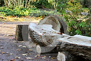 Wooden bench from a tree trunk