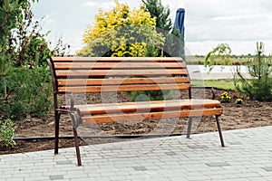 Wooden Bench in a wildflower garden.