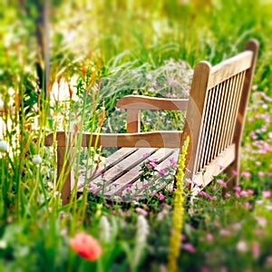 Wooden Bench in a wildflower garden.