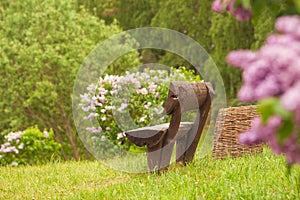 Wooden bench in a wildflower green garden with trees