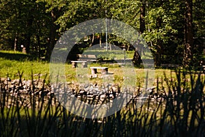 Wooden benches in botanical garden or park. Lake or pond decorated with stones. High contrast by day light