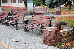 Wooden benches on a cast-iron base in the city park. photo