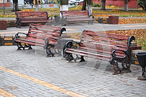 Wooden benches on a cast-iron base in the city park. photo