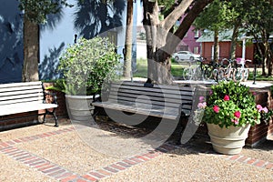 Wooden benches with flowers