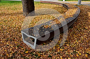 wooden benches by the lawn. wood paneled entice you to sit down