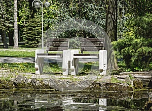 Wooden benches reflecting in water in the park