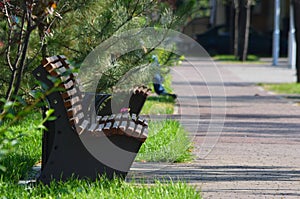 Wooden benches in square