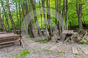 Wooden benches and tables in a forest