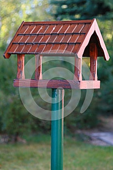 Wooden bird box