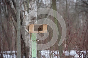 Wooden bird feeder