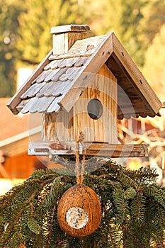 Wooden bird feeder with a coconut shell suet treats hanging
