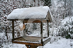 Wooden bird feeder with hanged bacon rind covered with snow
