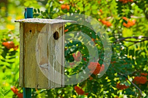 Wooden Bird House