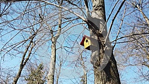 Wooden bird house attached to a tree trunk