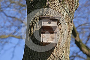 Wooden bird house , blue sky, Germany