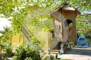 Wooden bird house decorate garden.