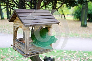 Wooden bird house feeder on a tree in the park with green maple leaf autumn mood