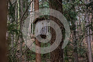 wooden bird house in the forest