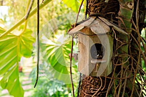 Wooden bird house in garden for decoration