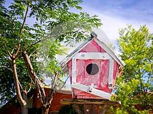 Wooden bird house in the garden and tree