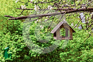 Wooden bird house hanging on a branch of an apple tree
