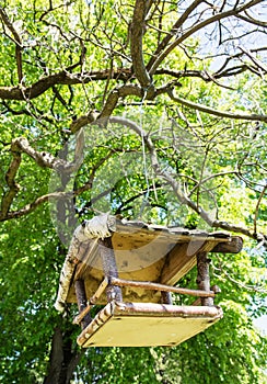 Wooden bird house hanging on the green tree, ornithology theme