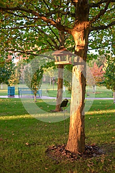 Wooden bird house hanging on a tree.