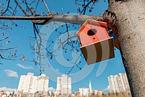 A wooden bird house hanging on a tree in front of cityscape. Colorful birdhouse, nesting box for songbirds in park.