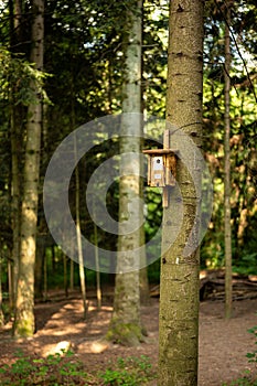 Wooden bird house nailed to a tree trunk in a forest. Selective focus, no people, sunny summer day