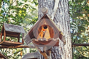 Wooden bird house, nesting box on tree in forest