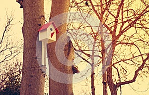 Wooden bird house, nesting box on the tree. toned