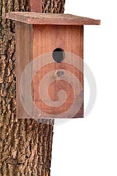 Wooden bird house(starling house)on tree trunk