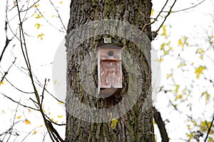 Wooden bird house on a tree.