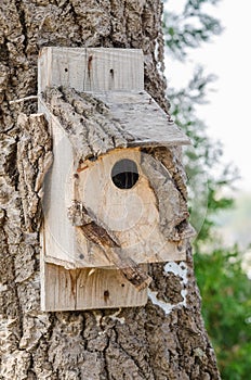 Wooden Bird House On A Tree