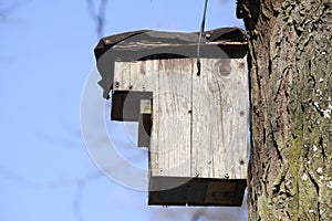 Wooden bird house on a tree , blue sky, Germany