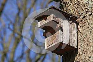 Wooden bird house on a tree, blue sky, Germany