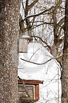 Wooden bird house on tree trunk