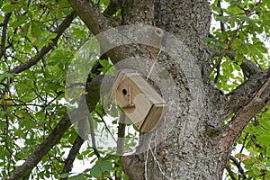 Wooden bird house on a tree trunk