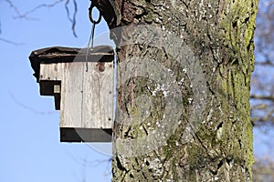 Wooden bird house on a tree trunk,  Germany